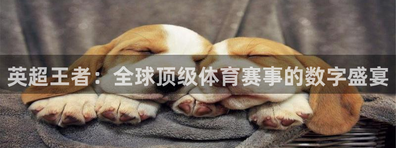 英超王者：全球顶级体育赛事的数字盛宴