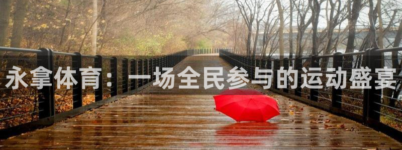 永拿体育：一场全民参与的运动盛宴