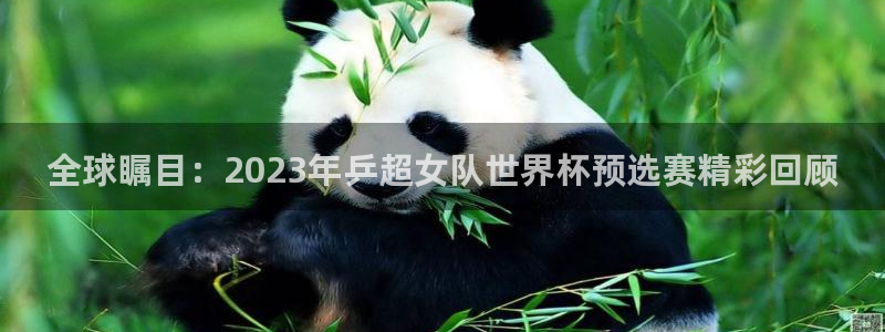 全球瞩目：2023年乒超女队世界杯预选赛精彩回顾