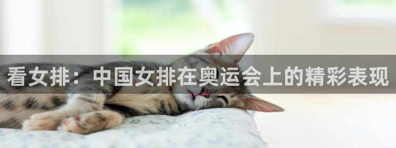 看女排：中国女排在奥运会上的精彩表现