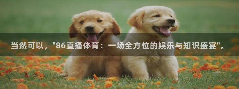 当然可以，\