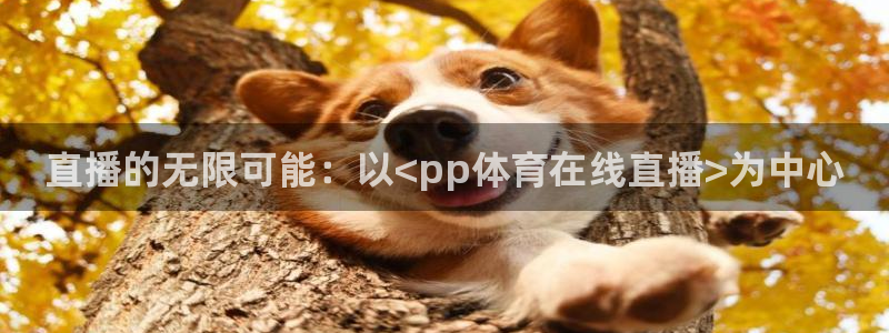直播的无限可能：以<pp体育在线直播>为中心